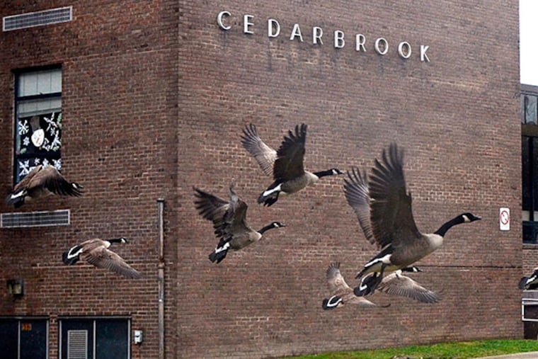 Cedarbrook Middle School will close due to mold. Previous administrations knew about the mold problems as far back as the '80s, but seemed to be crossing their fingers and hoping that the building would survive another decade. ( TOM GRALISH / Staff Photographer )