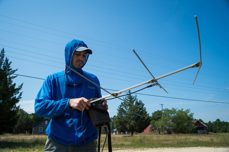 Phil Coppola, a doctoral student from the University of Delaware, uses a telemeter to search for quail at the Pine Island Cranberry Co. in Burlington County.