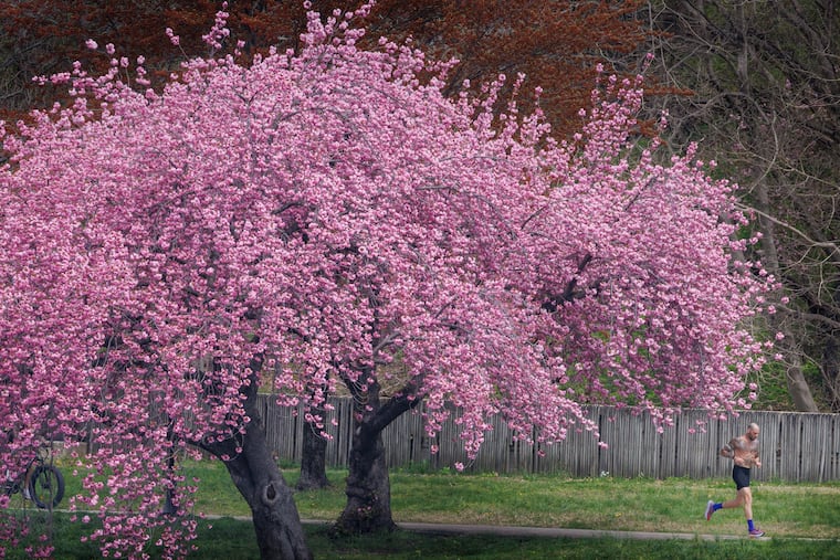 Runner jogs along Kelly Drive in Philadelphia.