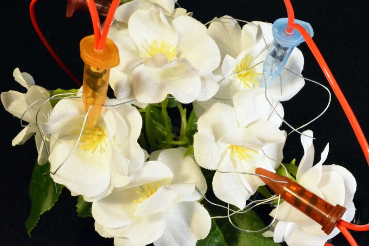 Jonathon Keats' "sex toys for flowers" provide titillation for flowers that have to be artificially pollinated as honeybee populations are decimated.
