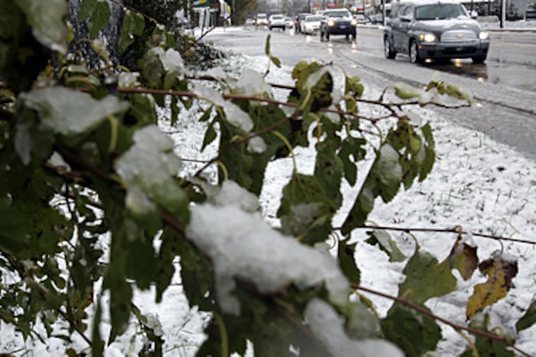 Slushy snow hangs on the trees and backs up traffic today on Route 413 in Levittown, Bucks County. The precipitation, caused by a coastal storm, resulted in the rescheduling of World Series Game 5 until Wednesday night. (Laurence Kesterson / Staff Photographer)