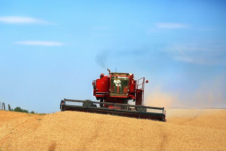 FILE - In this July 24, 2013, file photo, a red combine harvests golden, ripe wheat while cresting a hilltop near the border of eastern Washington and Oregon just southwest of Walla Walla, Wash. (Jeff Horner/Walla Walla Union-Bulletin via AP)