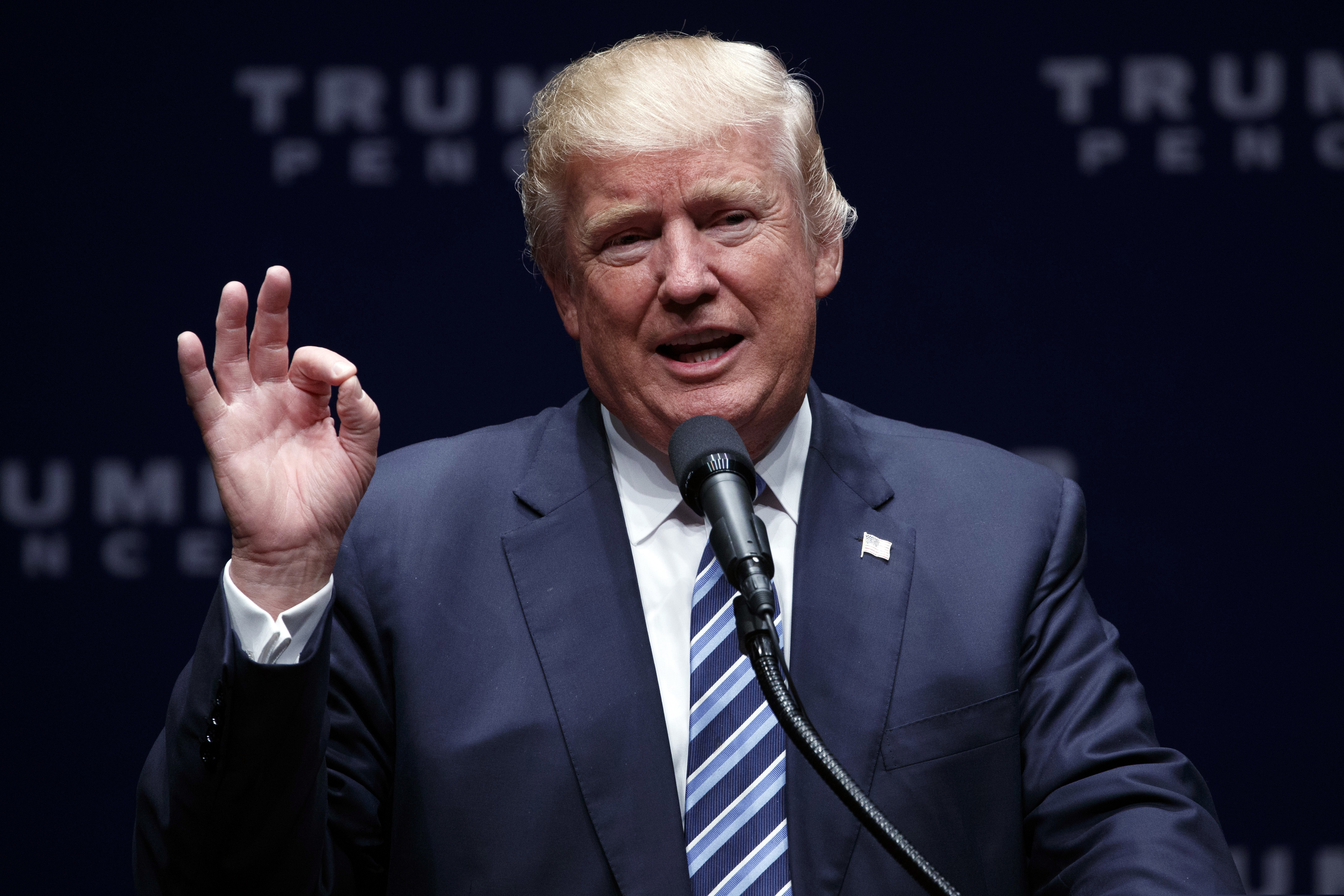 FILE photo shows President Donald Trump speaking at a rally in Charlotte, N.C. Andrew J. Harris of Philadelphia, who now manages a Domino’s Pizza, could be sentenced to two years in federal prison and a $200,000 fine for trying to hack into IRS servers to get Trump's tax returns.