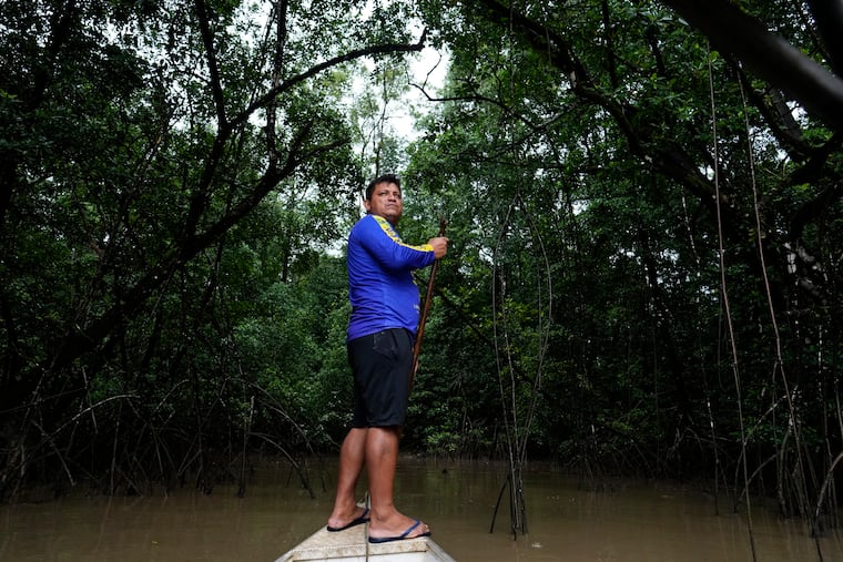 Edervan Forte dos Santos, from the Galibi Kali'na community, steers his boat toward mangroves in the biodiversity conservation area of Cabo Orange, in Oiapoque in Brazil's northern state of Amapa.