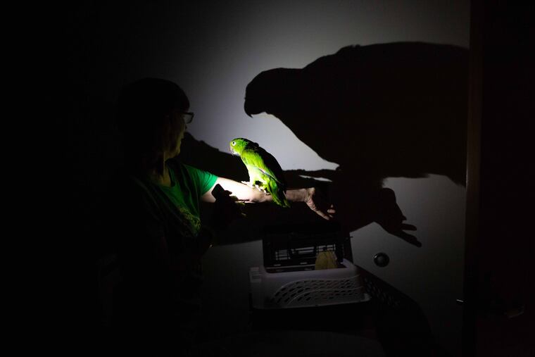 Using the flashlight on her cell phone, Patty Ohlson checks on her pet bird Bonnie at the Lawton Chiles High School shelter in Tallahassee, Fla.