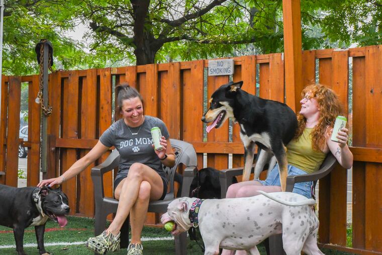 Unleashed is a hybrid dog park and beer garden next to Craft Hall, 901 N. Delaware Ave.