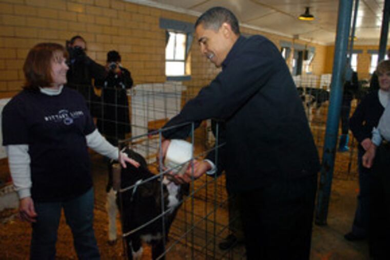 Nadine Houck, assistant manager of the Penn State agricultural facility, talks with Sen. Barack Obama as he bottle-feeds milk to a calf during yesterday's visit to State College.
