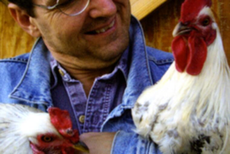 Bob Sheasley's book is both a scholarly work and a memoir of his life raising chickens and selling their eggs.