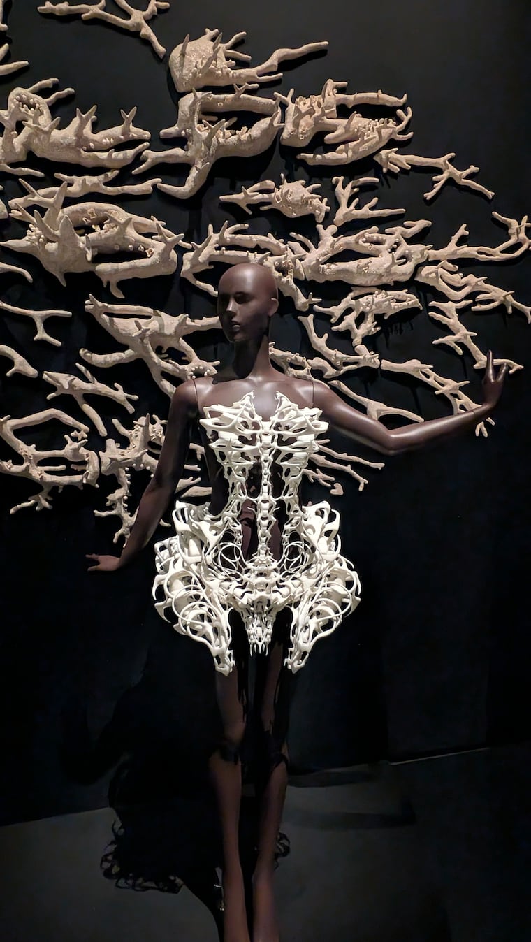 Iris van Herpen. "Skeleton" Dress, from the "Capriole" collection, 2011. 3D-printed polyamide using selective laser sintering. Collaborator: Isaïe Bloch. From Brooklyn Museum's “Iris van Herpen: Sculpting the Senses” show.