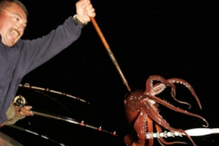 Ricky Carbajal brings up a Humboldt squid on the New Del Mar. At right, nephew Robert Carbajal shows it off. We know little about these squid that live up to 3,000 feet deep. We seem destined to learn more: For reasons yet unclear, they are rising en masse and migrating up the Pacific coast.