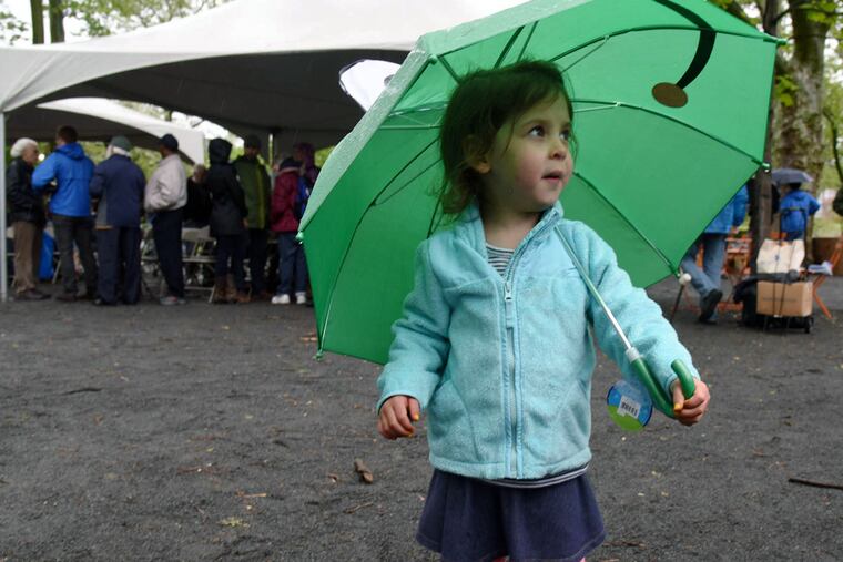 Beatrix Bowers, 3, of University City, attended the May Day event with her father, Andrew. Face painting was among the activities available to keep her amused.