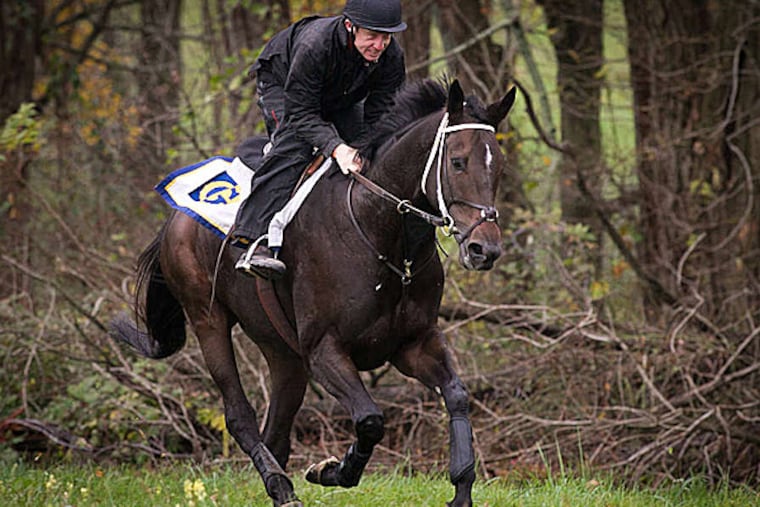 Hardest Core. (Alejandro A. Alvarez/Staff Photographer)