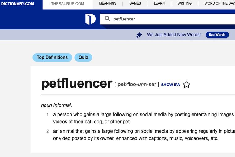 Dictionary.com has added over 300 new words, including petfluencer, to reflect modern language the company announced Tuesday.
