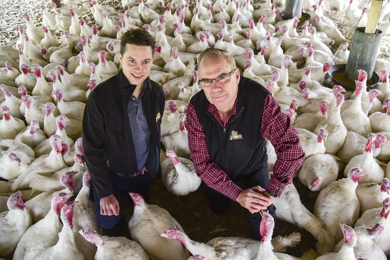 David Jaindl (right), owner of Jaindl family companies near Allentown, and his son Adam, 31, a vice president in Jaindl Land Co., hang with the birds in one of the barns on their turkey farm.