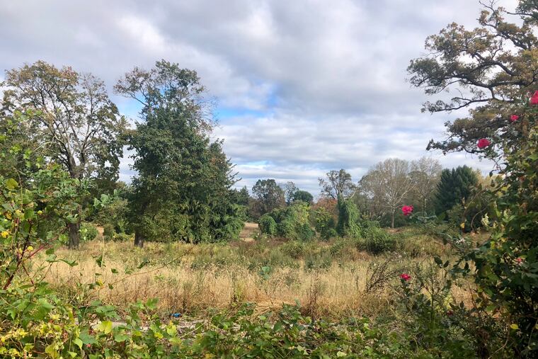 The site of the former Ashbourne Country Club in Cheltenham as seen from the street.