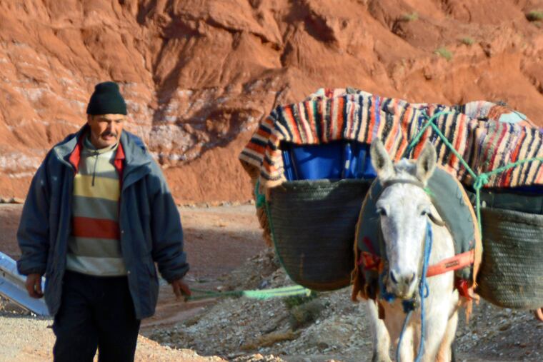 Reaching the village of Warwichkt in the Tighza Valley of Morocco requires walking for an hour and a half or riding a mule. Luggage is hoisted into large cloth saddle bags on the mules.