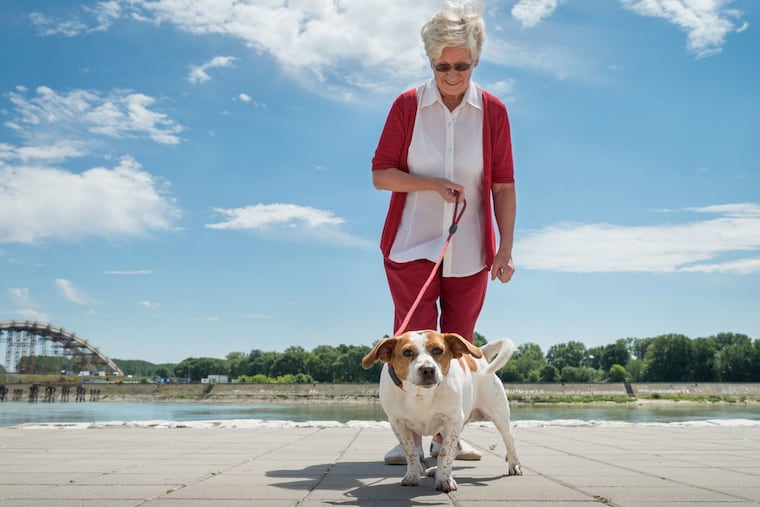 The number of older people who break bones while walking dogs is rising. Women are at higher risk, a Penn Medicine study found.