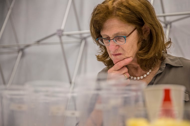 Carol Stoudt, of Stoudts Brewing Co., is a study in concentration as she looks over her beers during the judging of the Can Beer Category during this year's ninth annual Brewvitational competition at Reading Terminal Market in 2018. Stoudts Brewing is closing in early spring.