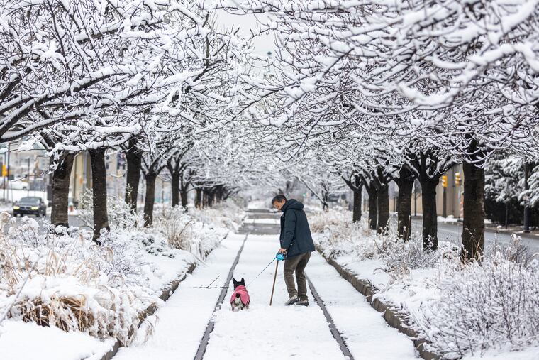 Jeki Ma, of Philadelphia, out on a walk with his dog, Ten Ten, 5, near their home along Columbus Boulevard on Saturday.