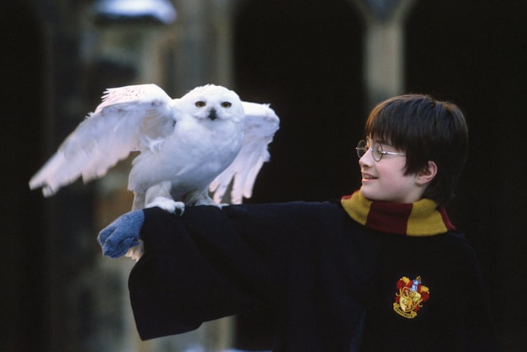 The complete series of Harry Potter books contains more than 1 million words. Small potatoes when compared to the number of available combinations in Mega Millions lottery.