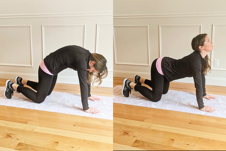 Ashley demonstrates a cat-cow stretch.