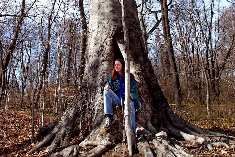In the MacArthur Tract last year, student Lindley Brainard sits at the base of a beech estimated to be more than 150 years old. Haddon Township adopted an easement to protect the tract's forest