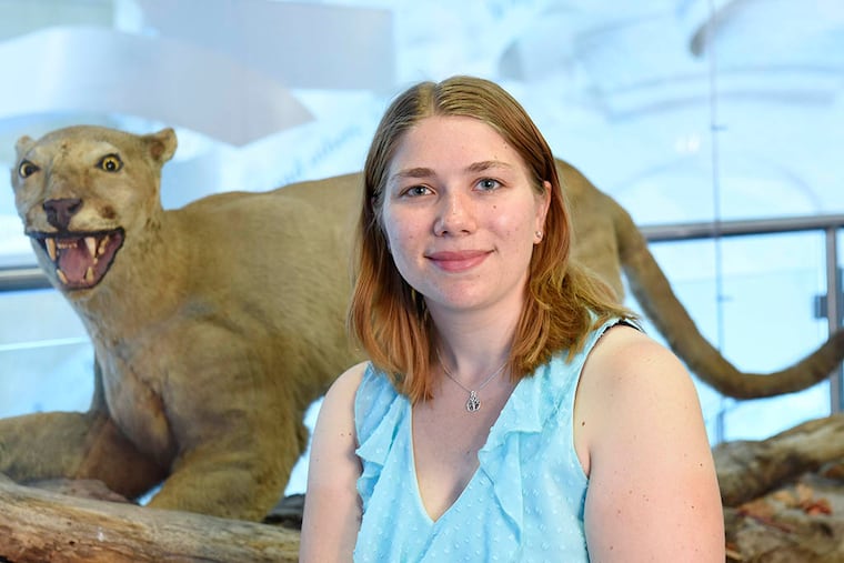 At Penn State, student Maya Evanitsky stands by the preserved mountain lion on display at Beaver Stadium. (JOHN BEALE / For The Inquirer)