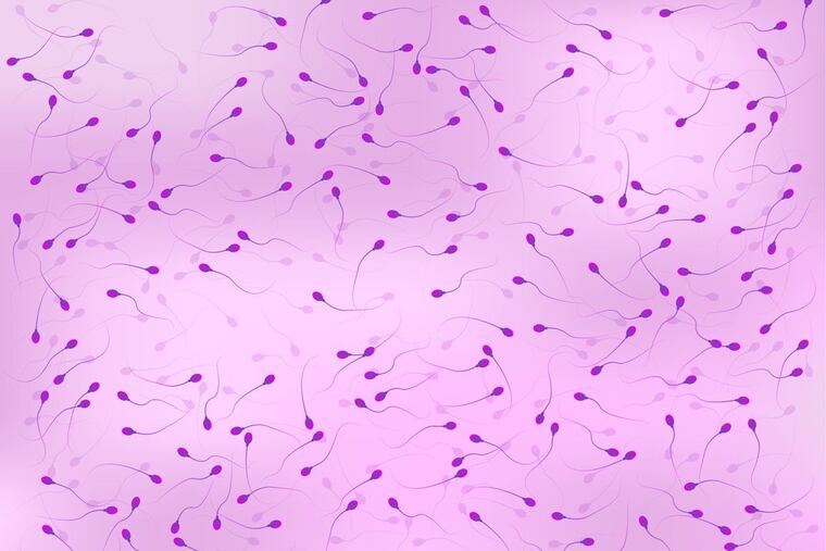 Sperm quality and quantity tends of decline with age, although there is no definition of "advanced paternal age."