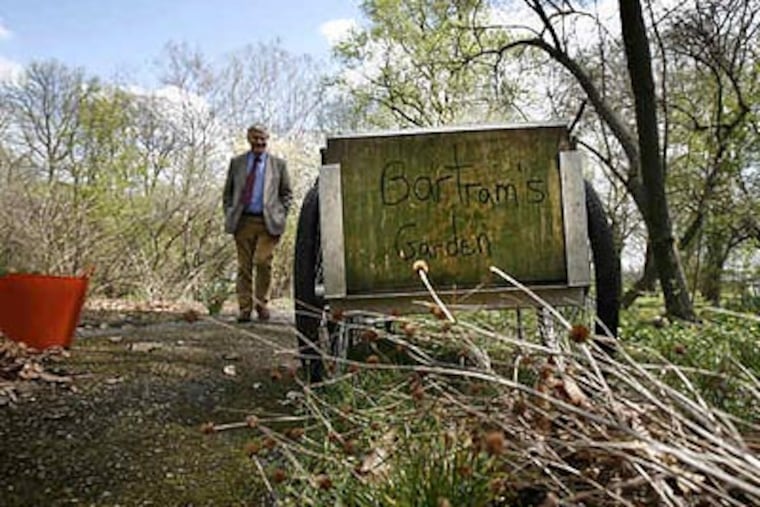 David Howard strolls near yellow hoop petticoats in Bartram's Garden. He calls the site on the Schuylkill "a historical gem." (Eric Mencher/Staff Photographer)
