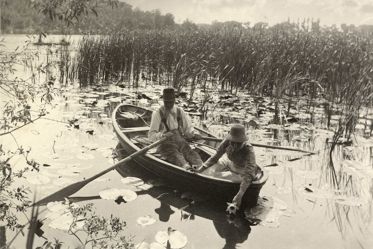 "Gathering Water Lilies," (1885), at the Barnes Foundation.