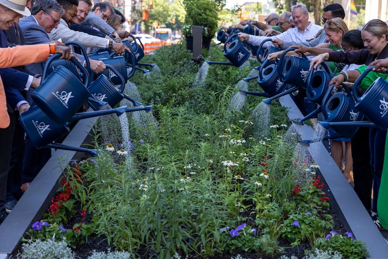 Attendees water the greenery inside a newly redesigned traffic median on South Broad Street during its unveiling in June.