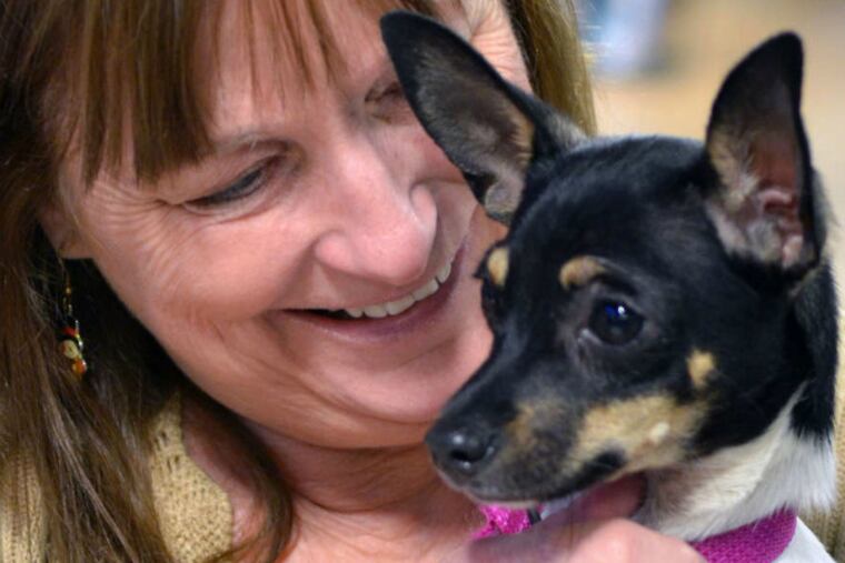 Customer Sue Johnson with Jenny, the rescue dog she is adopting from the Pets Plus Natural store in Lansdale.