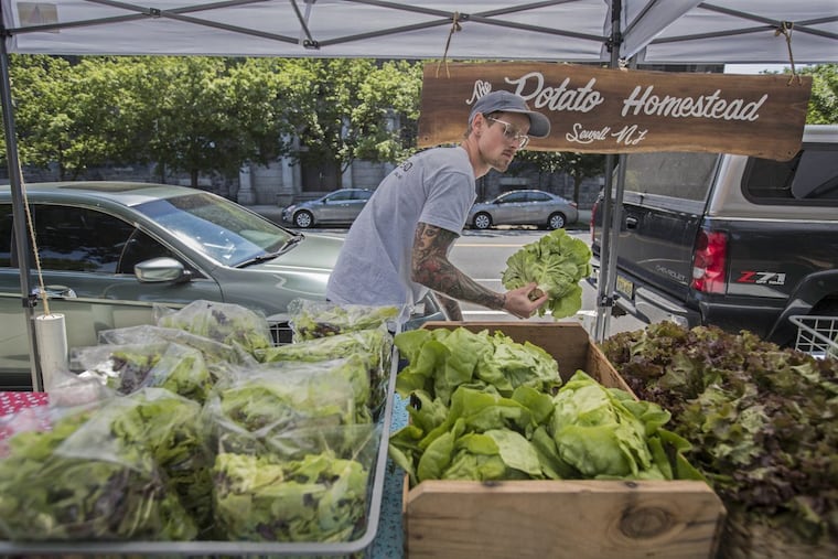 Rob McKeage, owner of The Potato Homestead, a farm in Sewell, NJ, restocks the lettuce on his table at the Dickinson Square Farmers’ Market. The list of the local farmers markets in the city and burbs. Please shoot the bounty of the farmers market, with close up shots of the spring produce. Also, please shoot an overall atmosphere shot of the scene at the market. Dickinson Square Farmers’ Market: 06/04/2017 MICHAEL BRYANT / Staff Photographer