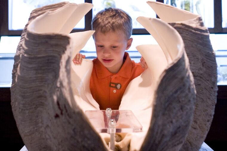 Philadelphia Shell Show at the Academy of natural Sciences.