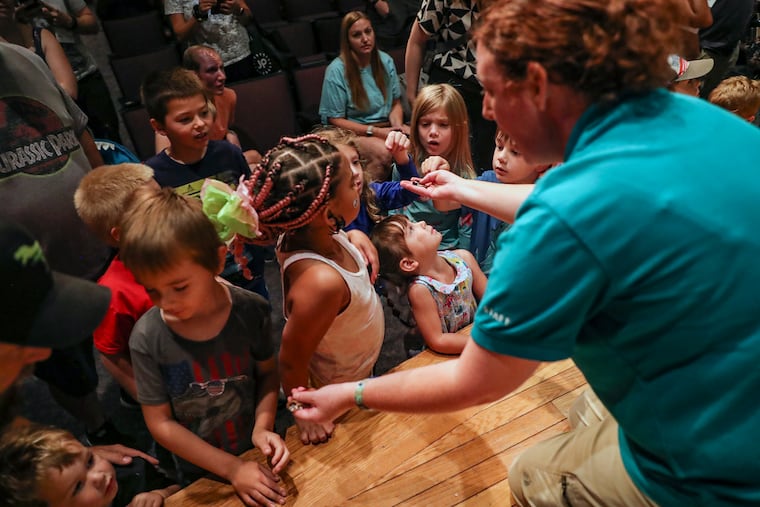 Bug Fest returns to the Academy of Natural Sciences in Philadelphia on Saturday and Sunday. The annual weekend celebrates all things invertebrate.