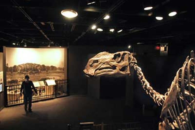 Jennifer Sontchi, manager of exhibit projects at the Academy of Natural Sciences, works near a recreation of the pit in Haddonfiled, NJ where the bones of Hadrosaurus foulkiimwere first dug up in the 1830's. (Tom Gralish/Staff Photographer)