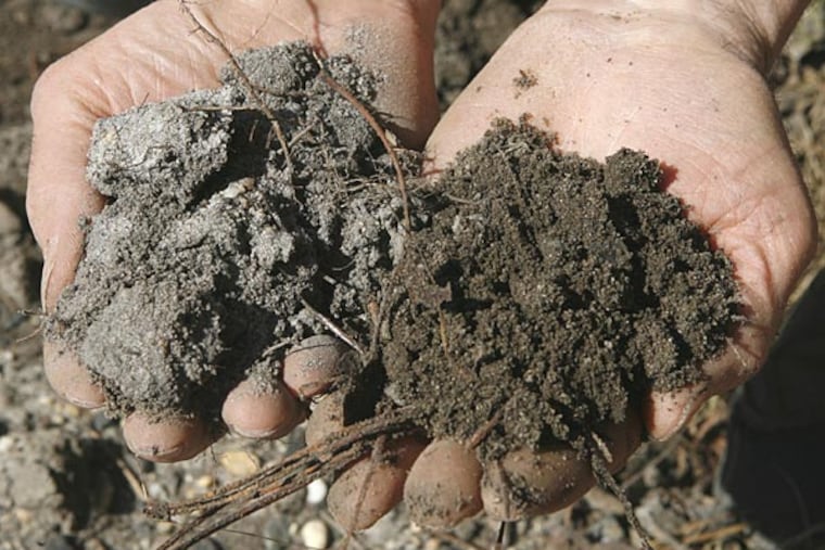 Take a scoop of dirt, press it into a ball, and see what happens when you poke it.