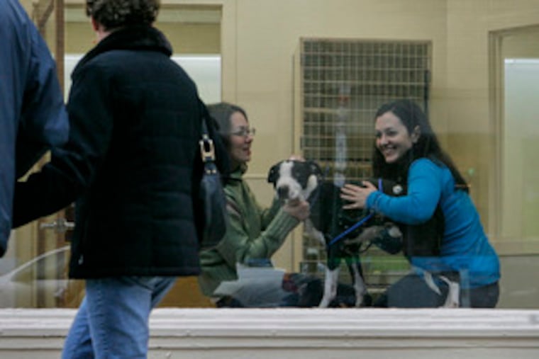 The view from the Old City sidewalk puts Lucky front and center. With him are Melissa Levy (left) and Tara Derby, the PAWS officials who are setting up the storefront adoption center at Second and Arch Streets for an opening next month.