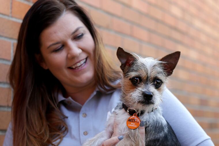 Audra Houghton, interim Executive Director of ACCT, holds a dog with a Liberty License tag outside the shelter in Feltonville.