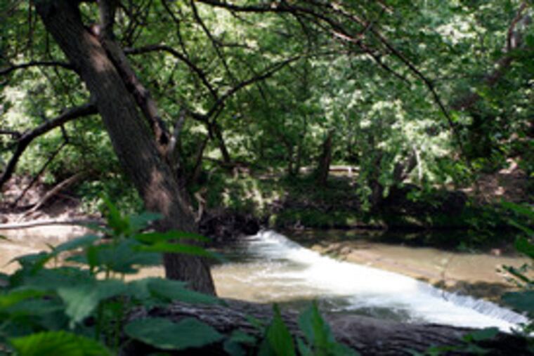Removal is not an option either for this lower Pennypack dam, where a city sanitary line crosses. A "rock ramp" might allow fish to bypass the obstacle.