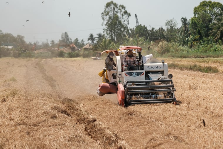 A combine harvester harvests rice in a field in Go Cong Ward, Dong Thap Province, Vietnam, on March 25, 2026. The Persian Gulf is a vital source of fertilizer, making the conflict a threat to global food supplies.