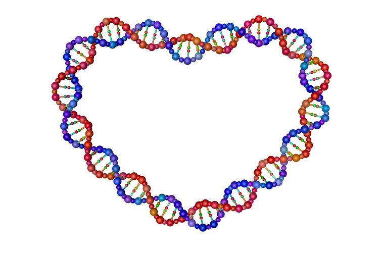 Can DNA offer clues to lasting love?