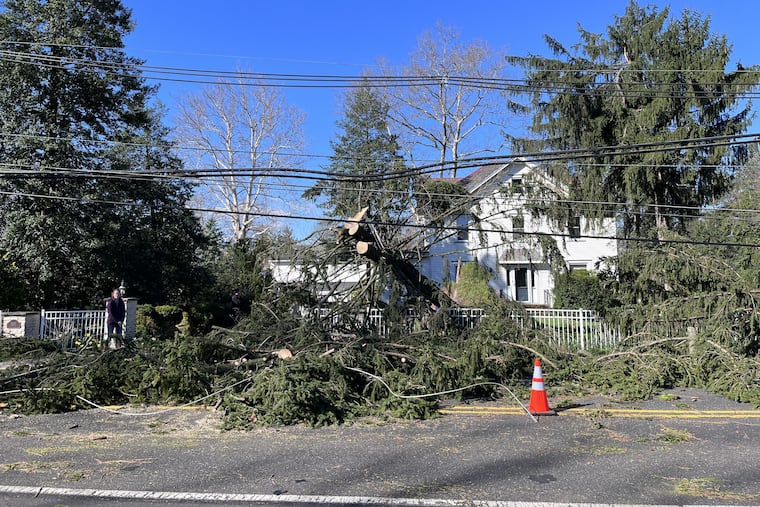Kristin Parry in front of two large pine trees that came down in front of her home April 1, 2023 on Riverton Road in Cinnaminson, Burlington County, N.J. The National Weather Service is investigating a possible tornado that struck the town and neighboring Delran.