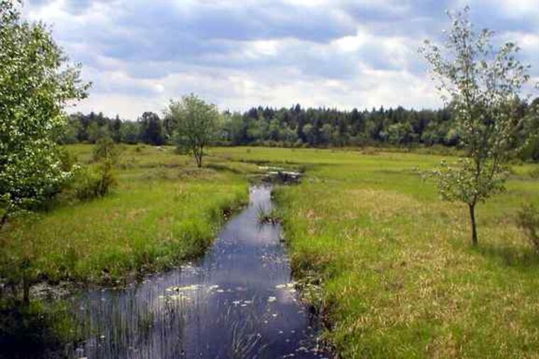 The Pine Barrens covers more than 1 million acres of coastal plain in New Jersey.
