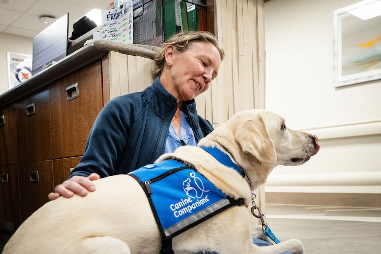 Peppi, a yellow Lab and official “Canine Companion,” sits on the lap of OB-GYN Kristina Fraser in November at the HCA HealthONE Rose medical center in Denver. (Hart Van Denburg/CPR News)