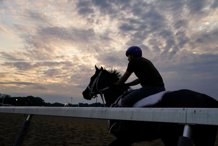 Horses begin their morning training runs at dawn Friday ahead of the Belmont Stakes in Elmont, N.Y.
