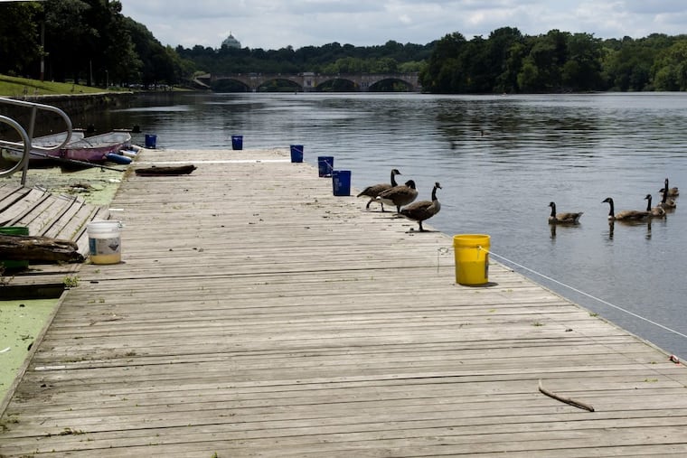 The public dock on the Schuylkill River where a toddler fell into the water on Saturday.