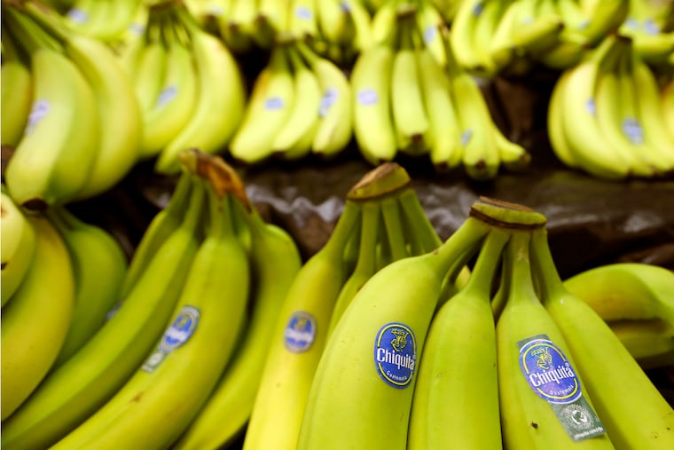 Chiquita brand bananas for sale at a grocery store in Zelienople, Pa., Sept. 10, 2014.