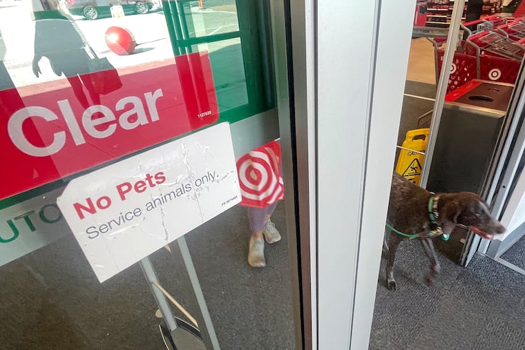A dog walks out of a local Target next to a sign on the door that says “No Pets. Service animals only."