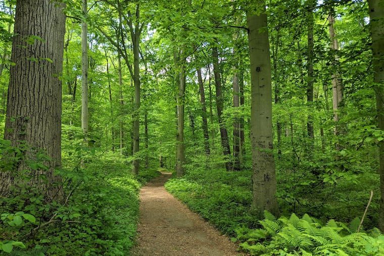 Here's where to hit the trails this fall.